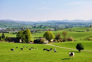 Rural