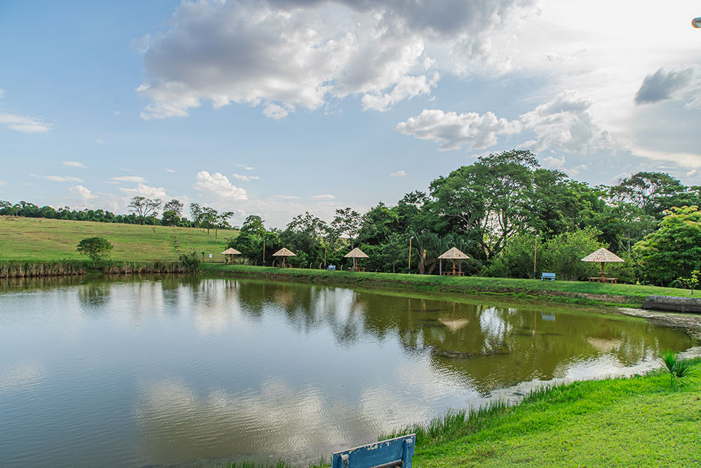 Lago para Pesca